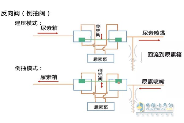 尿素循环原理图