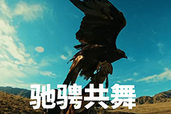 一汽解放J7欧洲之行宣传片