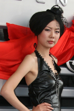 上汽依维柯红岩车模