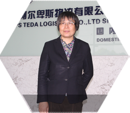 沃尔沃卡车用户阿尔卑斯物流