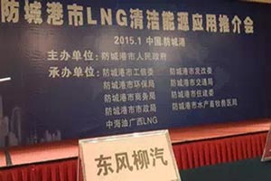 东风柳汽参与LNG清洁能源应用推介会  探讨LNG发展前景