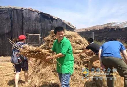 滤清系统金麦穗项目