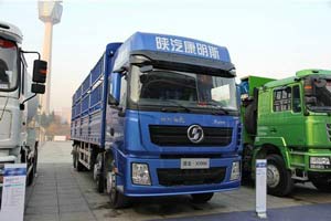 萧条中求发展 8X4载货车推荐