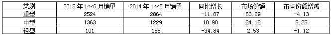 2015年1～6月我国洒水分大类销售情况表