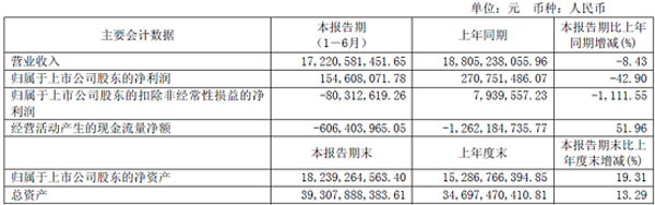 主要会计数据