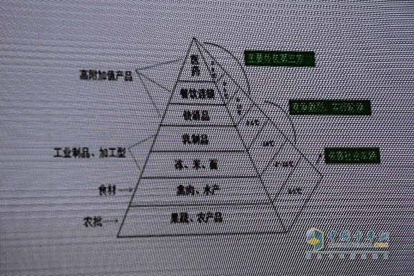 大黄蜂冷链物流有限公司总经理蒋逻斌