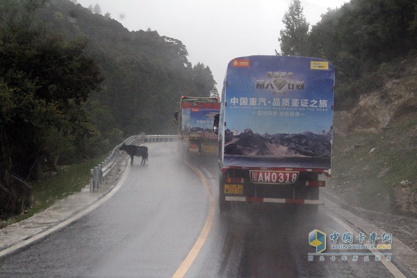 中国重汽品质鉴证之旅第一季藏地探索世界屋脊