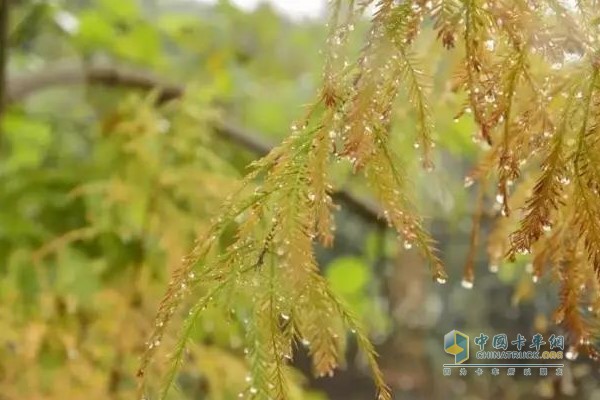 秋季的雨水、暗霜、露水会让路面很滑