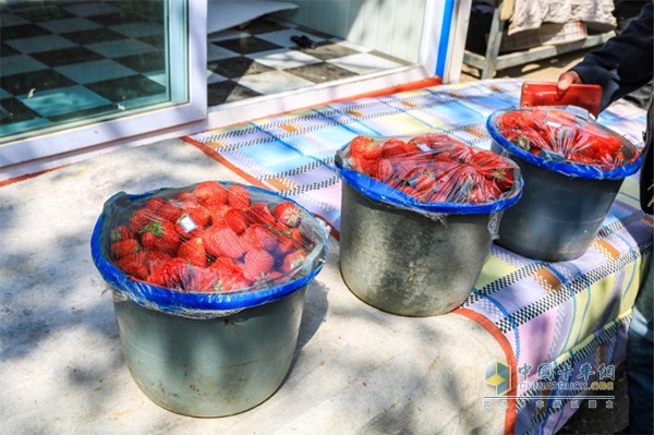 给水果摊运送的成盆草莓