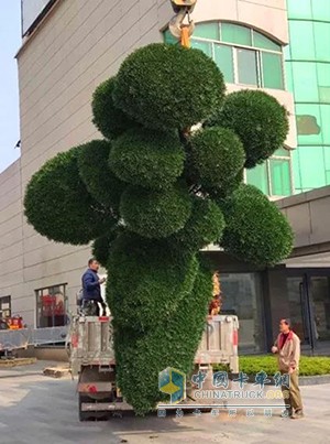 曹师傅开欧马可运输盆景