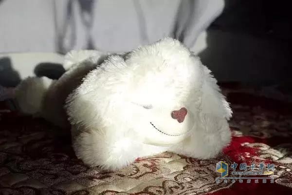妻子送的毛茸公仔