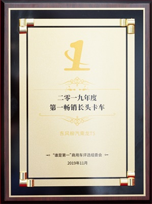 乘龙T5荣获“2019年度第一畅销长头卡车”