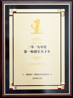乘龙T5荣获“2019年度第一畅销长头卡车”