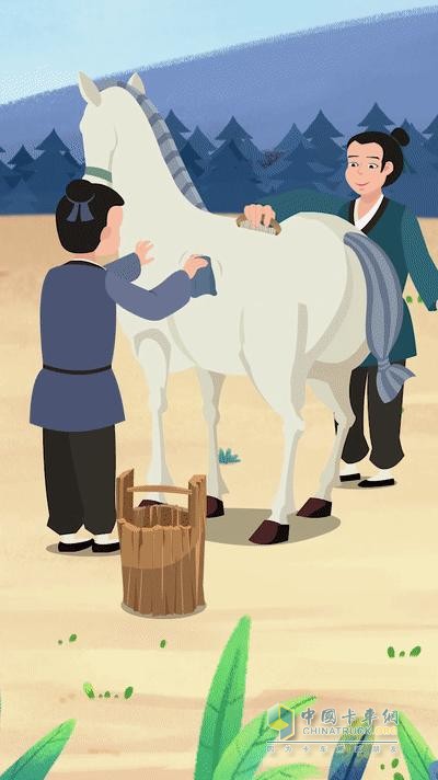 白龙马