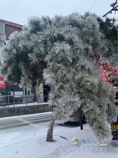 受降雪及路面结冰影响道路通行