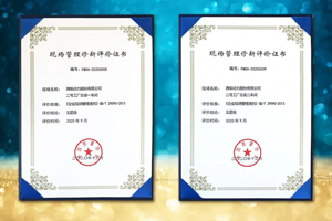 打造企业现场管理标杆，潍柴获颁中国质量协会“五星级现场”证书