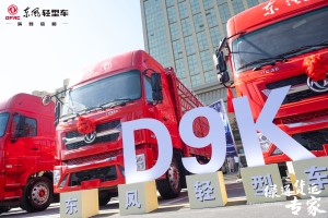 绿通货运专家  东风轻型车D9K登陆“蔬菜之乡”