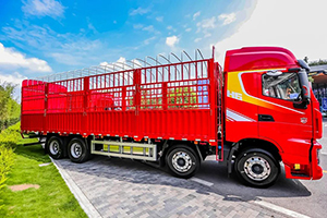 红岩杰狮H6载货车，可靠经济动力，能省，更会赚!