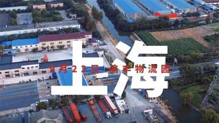 驭鉴康明斯大马力国六发动机的澎湃  成都渝丰物流园发车！