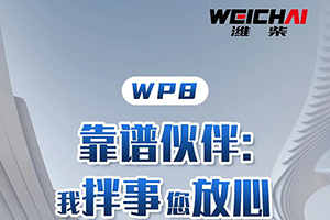 潍柴WP8专业搅拌车动力，城建运输的靠谱伙伴！