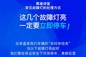 这几个故障灯亮了，一定要立即停车！！！