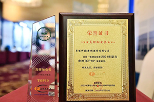 孚能科技荣获真锂加电奖年度锂电产业(动力电池)荣誉称号