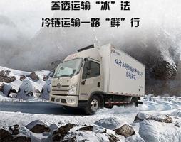 解放轻卡：将运输“冰”法，精准掌控！