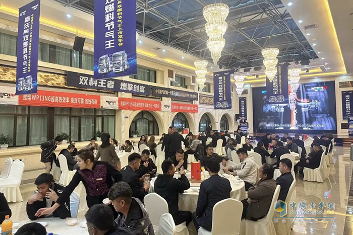 豪沃MAX双燃料“节气王”，让「鱼和熊掌可兼得」不再是梦想！