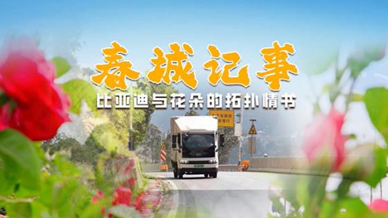花车相映，比亚迪T5EV见证着云南花海的热烈