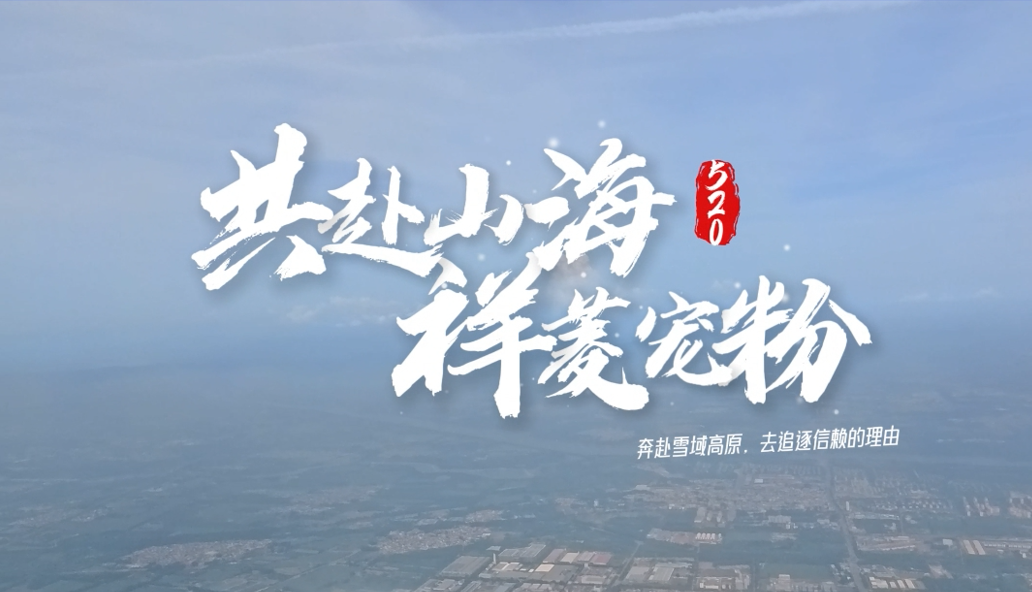 共赴山海，一路同行 祥菱第六届宠粉节