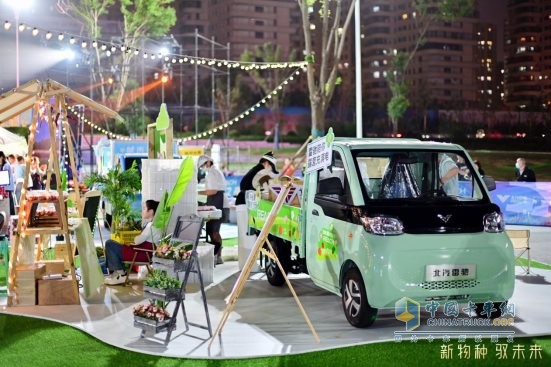 年轻人的新座驾，北汽雷驰新能源MINI卡，可自驾可摆摊
