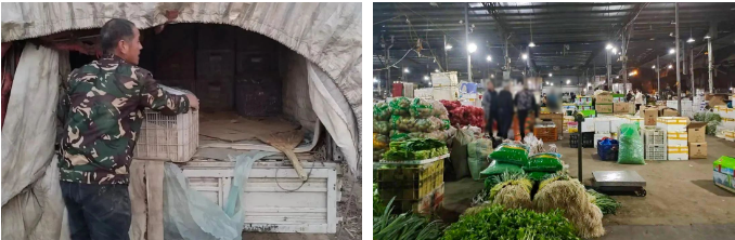 蔬菜运输选什么车？看看王师傅怎么说
