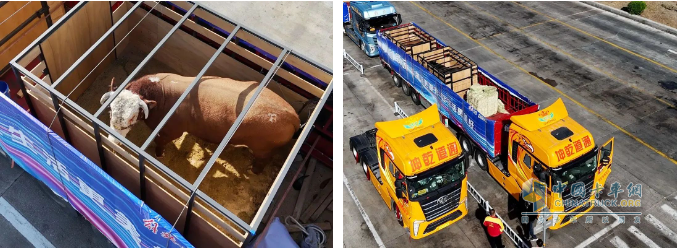 解放卡车：国车送国礼，犇！