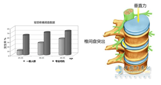 伊思灵华泰自适应减振座椅：阻尼自动调节，全路况从容应对