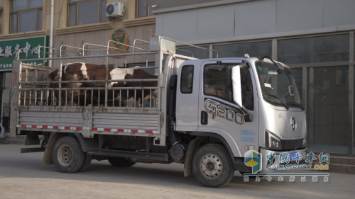 卡友马师傅的真心话：陕汽德龍G200强动力，高舒适 创富就选它