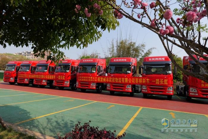 龙行天下 以客为先 龙擎动力爆单130台！助力钢铁物流提质增效