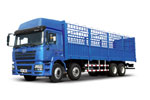 陕汽 2011款“驰久版” 德龙F3000 290马力 8X4 载货车