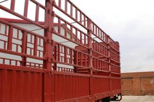 陕汽商用车 轩德X6中卡 轻量化版 245马力 6X2 7.8米 国五 厢式载货车(SX5255XXYGP5)