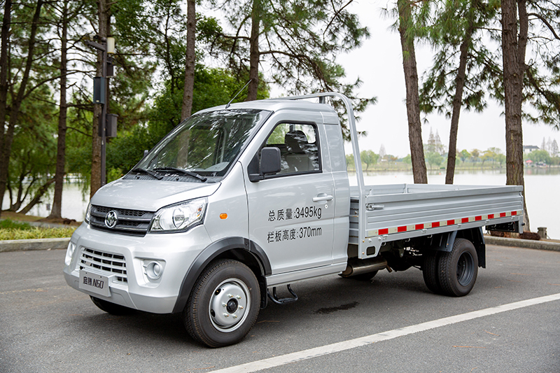 新龙马汽车 启腾N60 116马力 4×2 国六 栏板载货车 基本型（FJ1030BAC2）