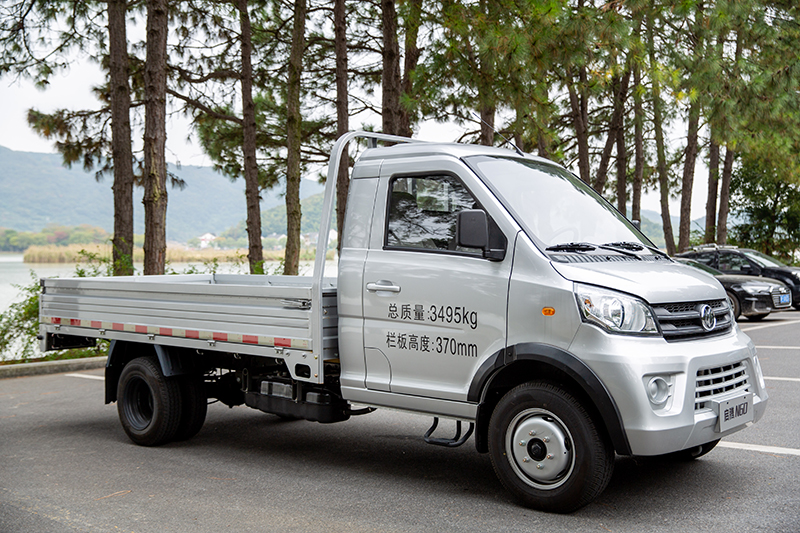 新龙马汽车 启腾N60 116马力 4×2 国六 栏板载货车 基本型（FJ1030BAC2）