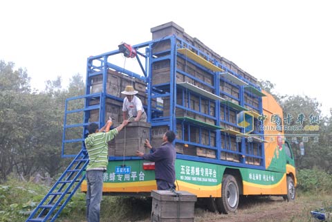 五征奥驰用户搬运蜂箱